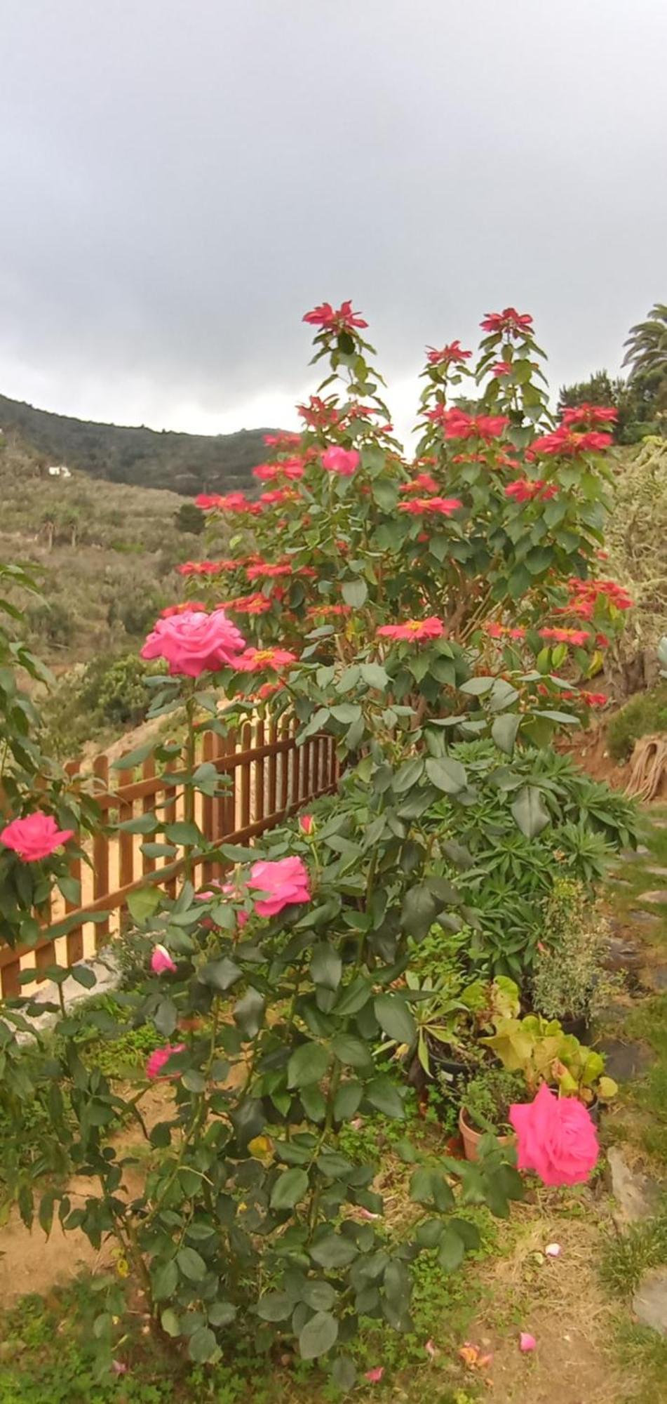 Casa Maria Villa Agulo Ruang foto